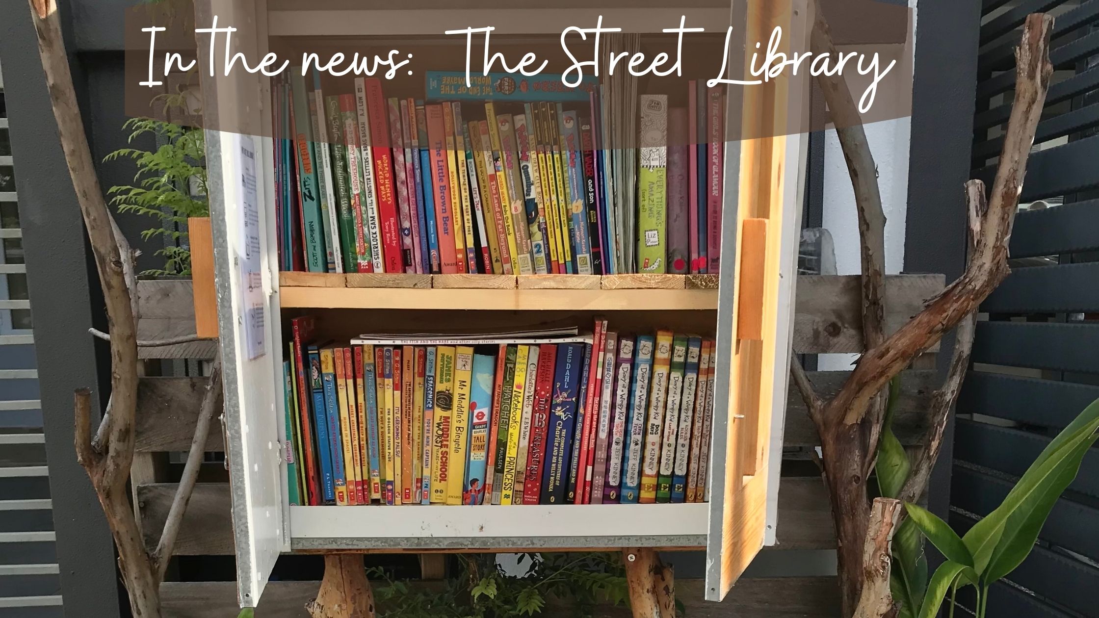 A Feature Story Of Our Street Library